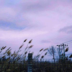 美女扒开腿㊙️让黄鳝钻入
